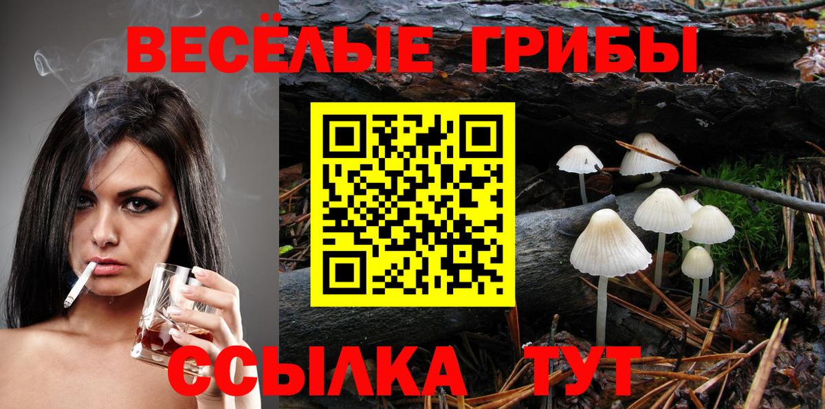 цена наркотик  Галлюциногенные грибы прущие грибы  Вход с VPN  Краснознаменск 